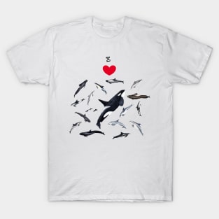 I love dolphins T-Shirt